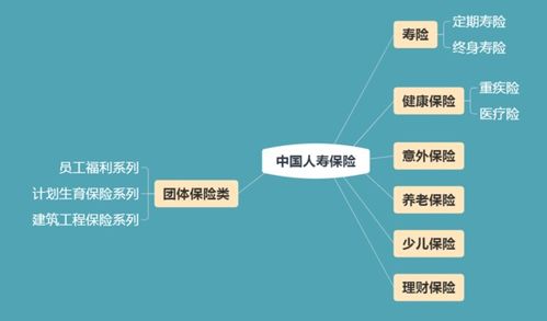 中国人寿保险险种代码都是什么意思 都有什么