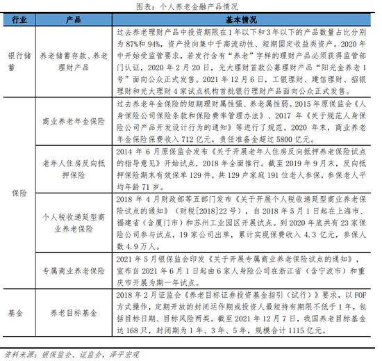 任泽平:中国老龄化研究报告